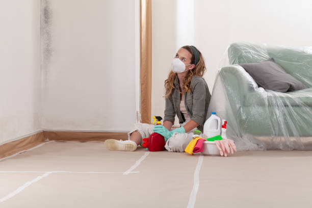 Reliable Commercial Mold Remediation contractor in South Hackensack, NJ by WQB Mold Removal